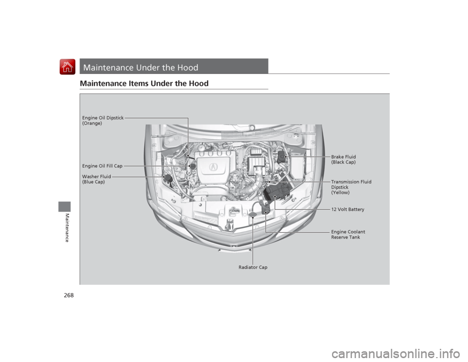 Acura ILX Hybrid 2015 Owners Manual 268Maintenance
Maintenance Under the HoodMaintenance Items Under the Hood
Brake Fluid
(Black Cap)
Washer Fluid
(Blue Cap) Engine Oil Dipstick
(Orange)
Engine Oil Fill Cap
Transmission Fluid
Dipsti Acura ILX Hybrid 2015 Owners Manual 268Maintenance
Maintenance Under the HoodMaintenance Items Under the Hood
Brake Fluid
(Black Cap)
Washer Fluid
(Blue Cap) Engine Oil Dipstick
(Orange)
Engine Oil Fill Cap
Transmission Fluid
Dipsti