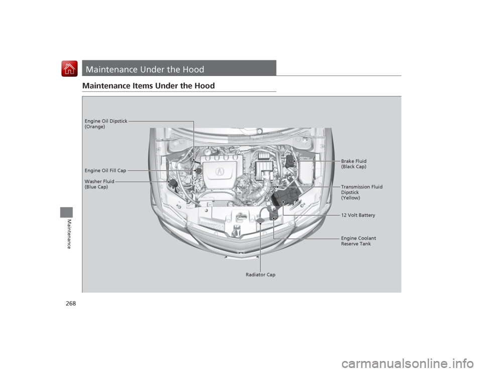 Acura ILX Hybrid 2015  Owners Manual 268Maintenance
Maintenance Under the HoodMaintenance Items Under the Hood
Brake Fluid 
(Black Cap)
Washer Fluid 
(Blue Cap) Engine Oil Dipstick 
(Orange)
Engine Oil Fill Cap
Transmission Fluid 
Dipsti
