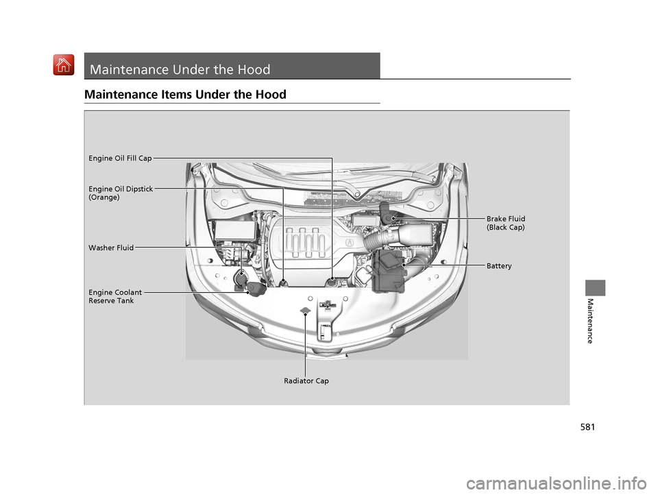Acura MDX 2020  Owners Manual 581
Maintenance
Maintenance Under the Hood
Maintenance Items Under the Hood
Brake Fluid 
(Black Cap)
Washer Fluid
Radiator Cap
Engine Coolant 
Reserve Tank Engine Oil Dipstick 
(Orange) Engine Oil Fil
