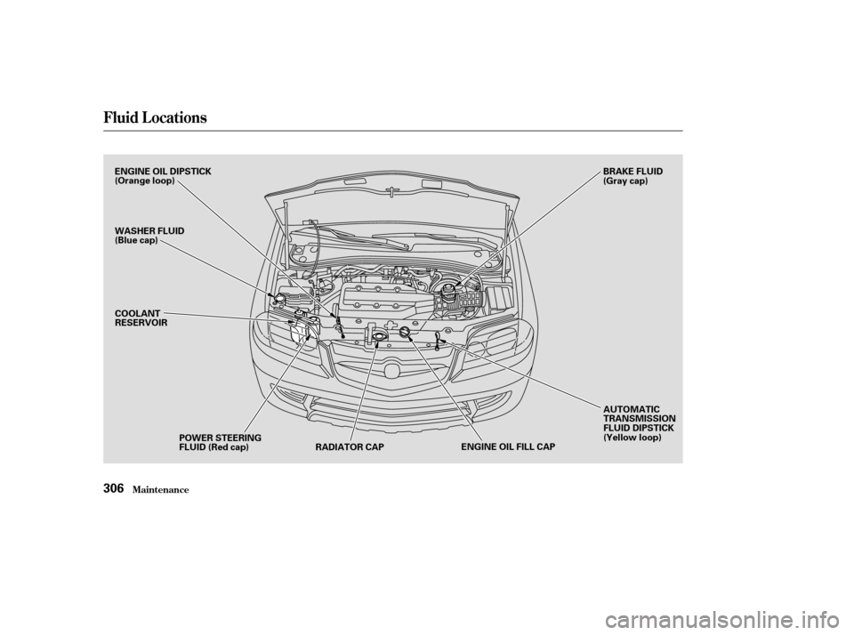 Acura MDX 2003  Owners Manua Fluid Locations
Maint enance306
ENGINE OIL DIPSTICK
(Orange loop)
WASHER FLUID
(Blue cap)COOLANT
RESERVOIR
POWER STEERING
FLUID (Red cap) RADIATOR CAP ENGINE OIL FILL CAPAUTOMATIC
TRANSMISSION
FLUID D