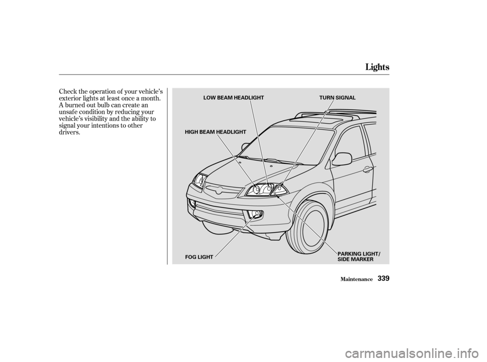 Acura MDX 2003  Owners Manua Check the operation of your vehicle’s
exterior lights at least once a month.
A burned out bulb can create an
unsaf e condition by reducing your
vehicle’s visibility and the ability to
signal your 