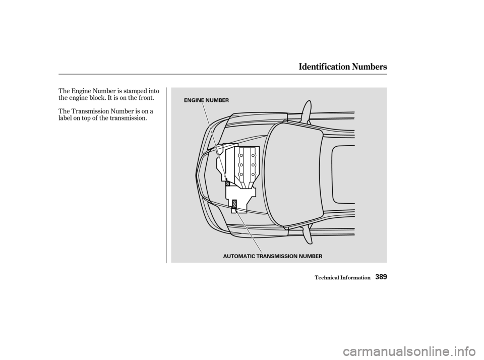 Acura MDX 2003  Owners Manua The Transmission Number is on a
label on top of the transmission. The Engine Number is stamped into
the engine block. It is on the f ront.
Identif ication Numbers
T echnical Inf ormation389
ENGINE NUM