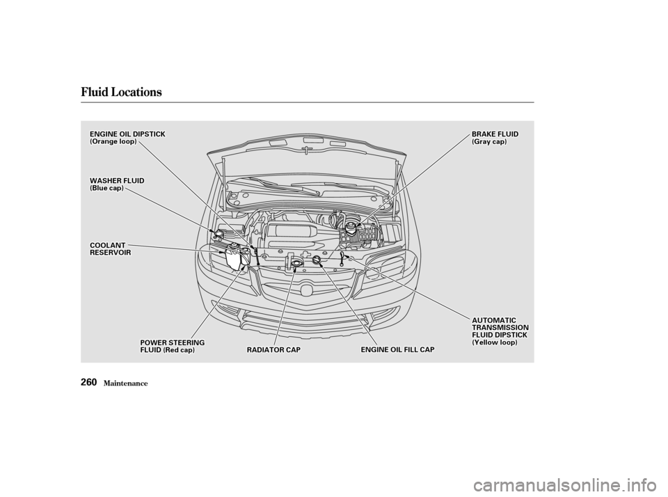 Acura MDX 2002  Owners Manual Fluid Locations
Maint enance260
B
BRRAA K
KEE F
FLLUUI IDD
(
( G
Gr raay y c
caap p )
)
C
CO OO OLLAA N
NT T
R
RE ES
SE ER
RV V O
OI IRR
E
E
N
NG GIINNE E O
OIILL D
DI
IPP S
ST TI
ICCK K
(
( O
Or raan