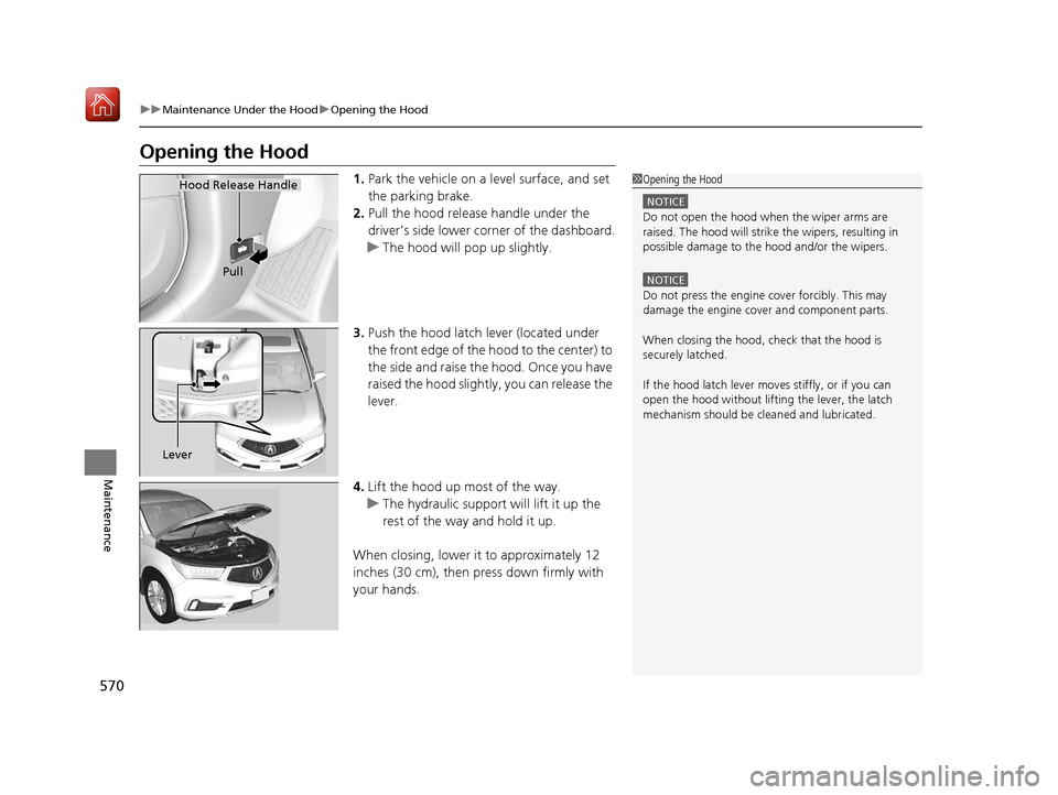 Acura MDX HYBRID 2020  Owners Manual 570
uuMaintenance Under the Hood uOpening the Hood
Maintenance
Opening the Hood
1. Park the vehicle on a level surface, and set 
the parking brake.
2. Pull the hood release handle under the 
driver’