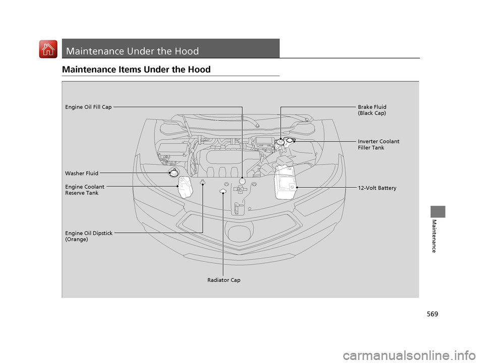 Acura MDX HYBRID 2018  Owners Manual 569
Maintenance
Maintenance Under the Hood
Maintenance Items Under the Hood
Brake Fluid 
(Black Cap)
Washer Fluid
Radiator Cap
Engine Coolant 
Reserve Tank
Engine Oil Dipstick 
(Orange) Engine Oil Fil