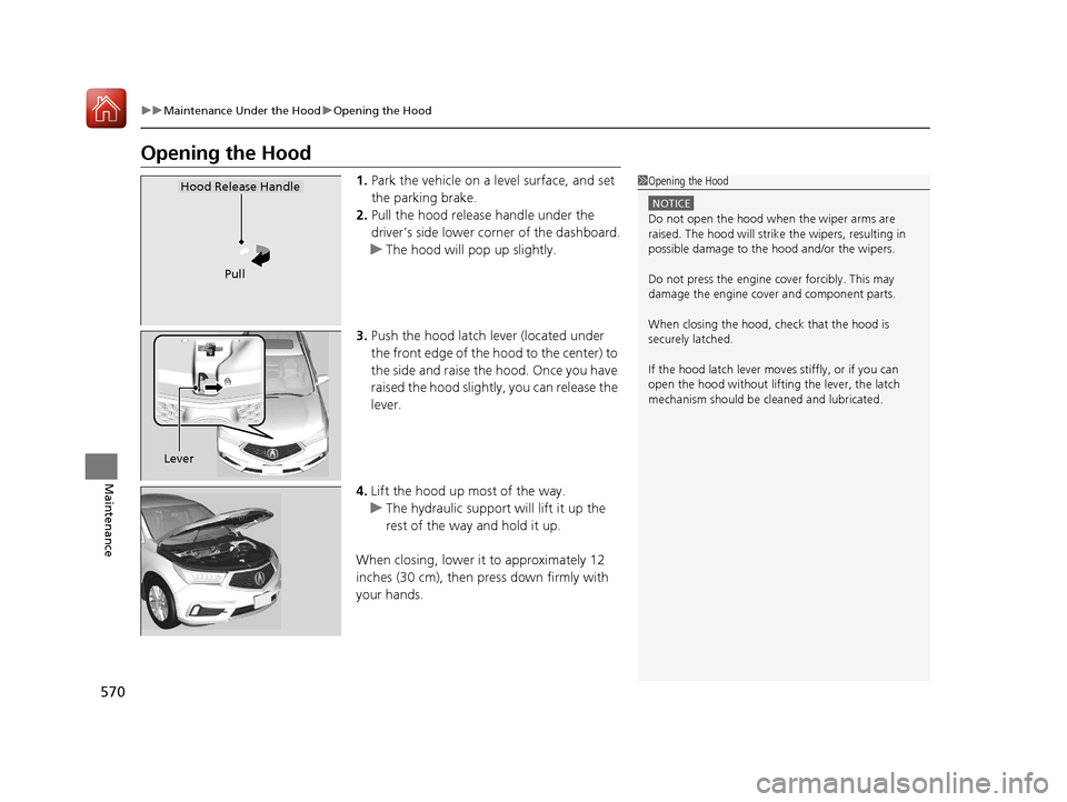 Acura MDX HYBRID 2018 User Guide 570
uuMaintenance Under the Hood uOpening the Hood
Maintenance
Opening the Hood
1. Park the vehicle on a level surface, and set
the parking brake.
2. Pull the hood release handle under the
driver’ Acura MDX HYBRID 2018 User Guide 570
uuMaintenance Under the Hood uOpening the Hood
Maintenance
Opening the Hood
1. Park the vehicle on a level surface, and set
the parking brake.
2. Pull the hood release handle under the
driver’