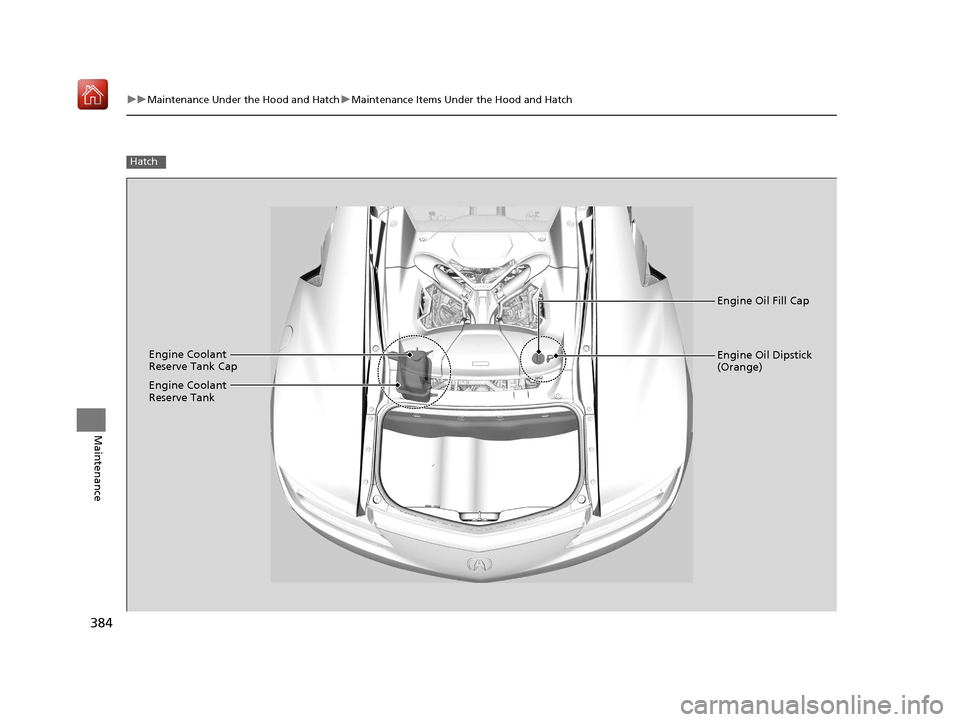 Acura NSX 2019  Owners Manual 384
uuMaintenance Under the Hood and Hatch uMaintenance Items Under the Hood and Hatch
Maintenance
Hatch
Engine Oil Fill Cap
Engine Coolant 
Reserve Tank Cap Engine Oil Dipstick 
(Orange)
Engine Coola