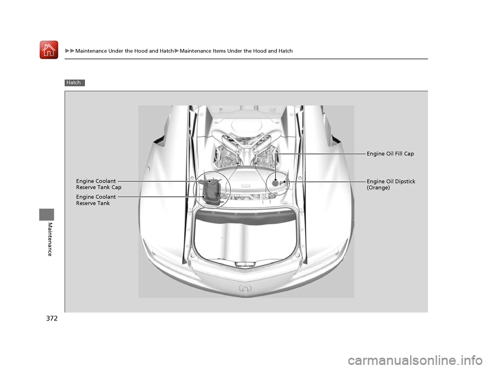 Acura NSX 2017  Owners Manual 372
uuMaintenance Under the Hood and Hatch uMaintenance Items Under the Hood and Hatch
Maintenance
Hatch
Engine Oil Fill Cap
Engine Coolant 
Reserve Tank Cap Engine Oil Dipstick 
(Orange)
Engine Coola