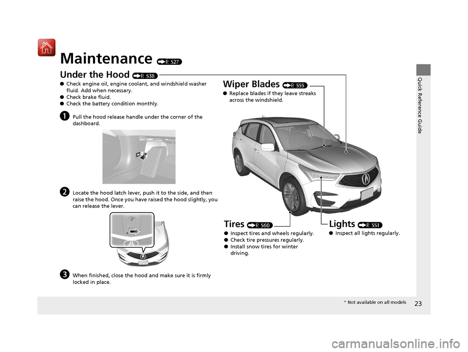 Acura RDX 2020  Owners Manual 23
Quick Reference Guide
Maintenance (P 527)
Under the Hood (P 538)
● Check engine oil, engine coolant, and windshield washer 
fluid. Add when necessary.
● Check brake fluid.
● Check the battery