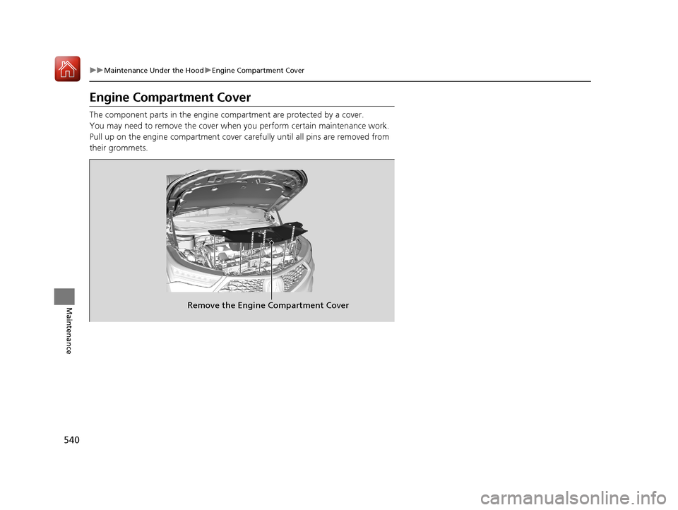 Acura RDX 2020 Owners Manual 540
uuMaintenance Under the Hood uEngine Compartment Cover
Maintenance
Engine Compartment Cover
The component parts in the engine co mpartment are protected by a cover.
You may need to remove the cove Acura RDX 2020 Owners Manual 540
uuMaintenance Under the Hood uEngine Compartment Cover
Maintenance
Engine Compartment Cover
The component parts in the engine co mpartment are protected by a cover.
You may need to remove the cove