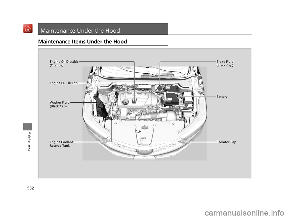Acura RDX 2019  Owners Manual 532
Maintenance
Maintenance Under the Hood
Maintenance Items Under the Hood
Brake Fluid 
(Black Cap)
Engine Coolant 
Reserve Tank Radiator Cap
Washer Fluid 
(Black Cap) Engine Oil Dipstick 
(Orange)
E