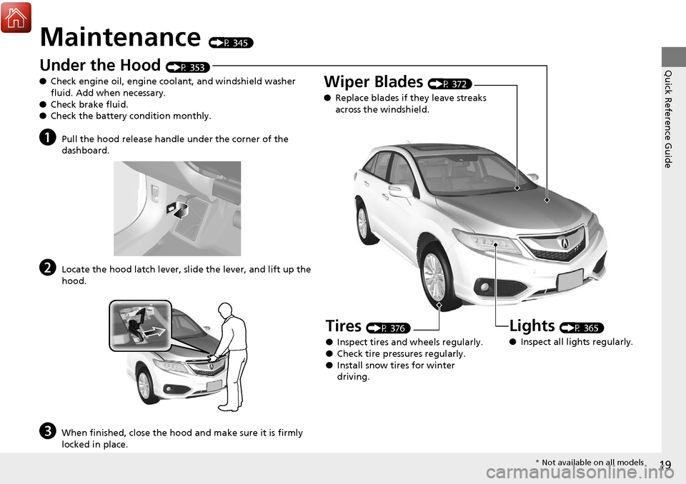 Acura RDX 2018 Owners Manual 19
Quick Reference Guide
Maintenance (P 345)
Under the Hood (P 353)
● Check engine oil, engine coolant, and windshield washer
fluid. Add when necessary.
● Check brake fluid.
● Check the battery Acura RDX 2018 Owners Manual 19
Quick Reference Guide
Maintenance (P 345)
Under the Hood (P 353)
● Check engine oil, engine coolant, and windshield washer
fluid. Add when necessary.
● Check brake fluid.
● Check the battery