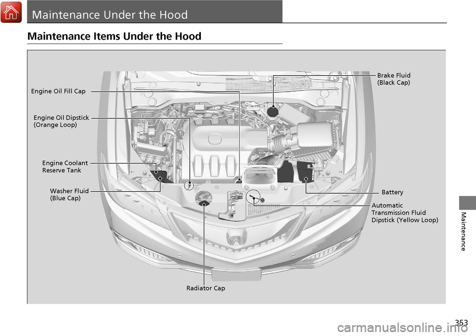 Acura RDX 2018 Owners Manual 353
Maintenance
Maintenance Under the Hood
Maintenance Items Under the Hood
Brake Fluid
(Black Cap)
Engine Coolant
Reserve Tank
Radiator Cap
Washer Fluid
(Blue Cap)
Engine Oil Dipstick
(Orange Loo Acura RDX 2018 Owners Manual 353
Maintenance
Maintenance Under the Hood
Maintenance Items Under the Hood
Brake Fluid
(Black Cap)
Engine Coolant
Reserve Tank
Radiator Cap
Washer Fluid
(Blue Cap)
Engine Oil Dipstick
(Orange Loo