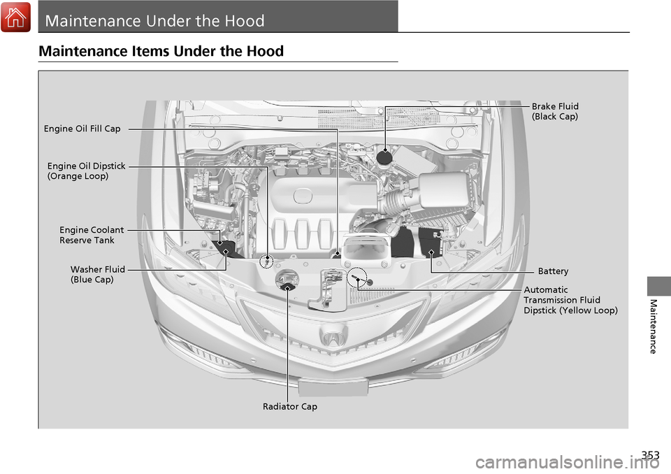 Acura RDX 2018  Owners Manual 353
Maintenance
Maintenance Under the Hood
Maintenance Items Under the Hood
Brake Fluid 
(Black Cap)
Engine Coolant 
Reserve Tank
Radiator Cap
Washer Fluid 
(Blue Cap)
Engine Oil Dipstick 
(Orange Loo