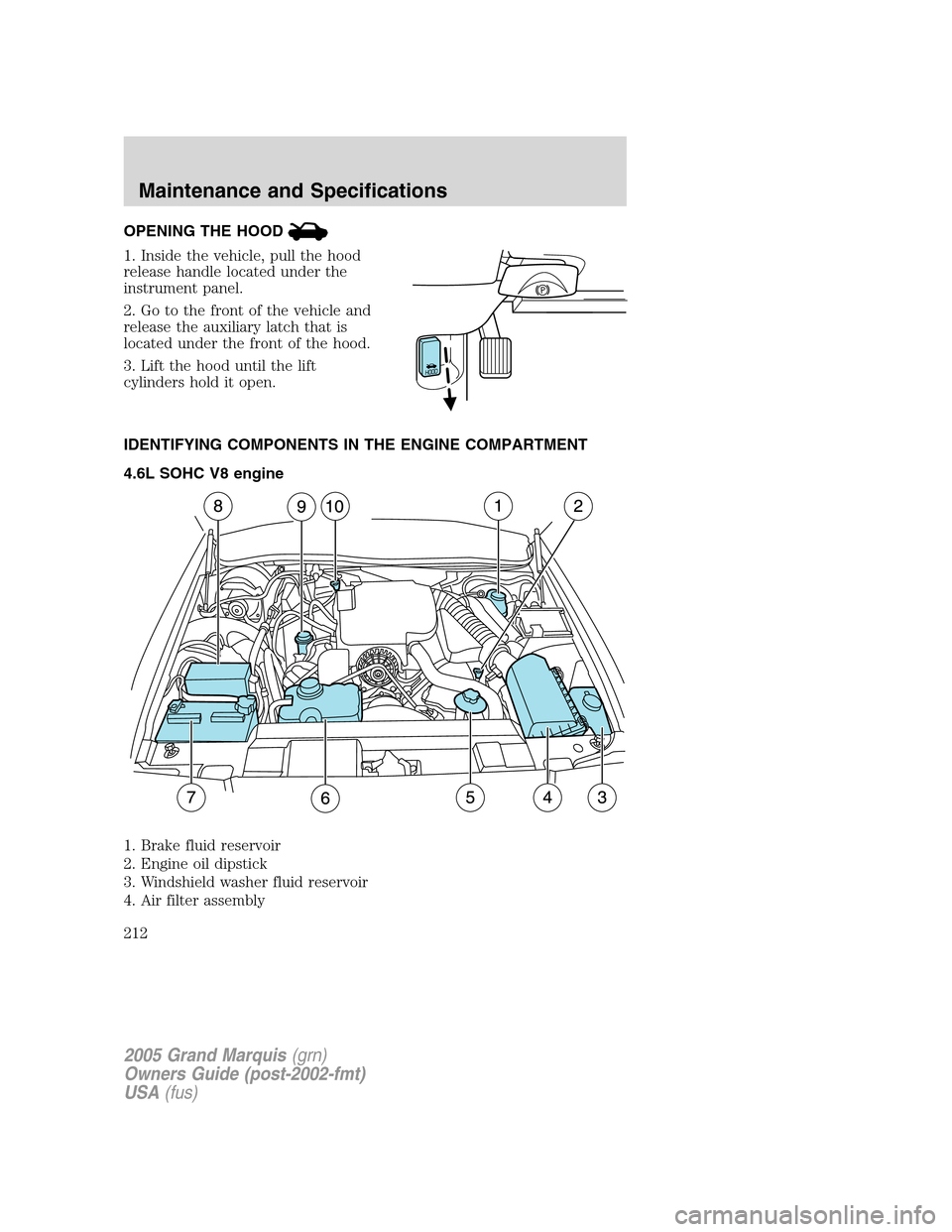 Mercury Grand Marquis 2005  Owners Manuals OPENING THE HOOD
1. Inside the vehicle, pull the hood
release handle located under the
instrument panel.
2. Go to the front of the vehicle and
release the auxiliary latch that is
located under the fro