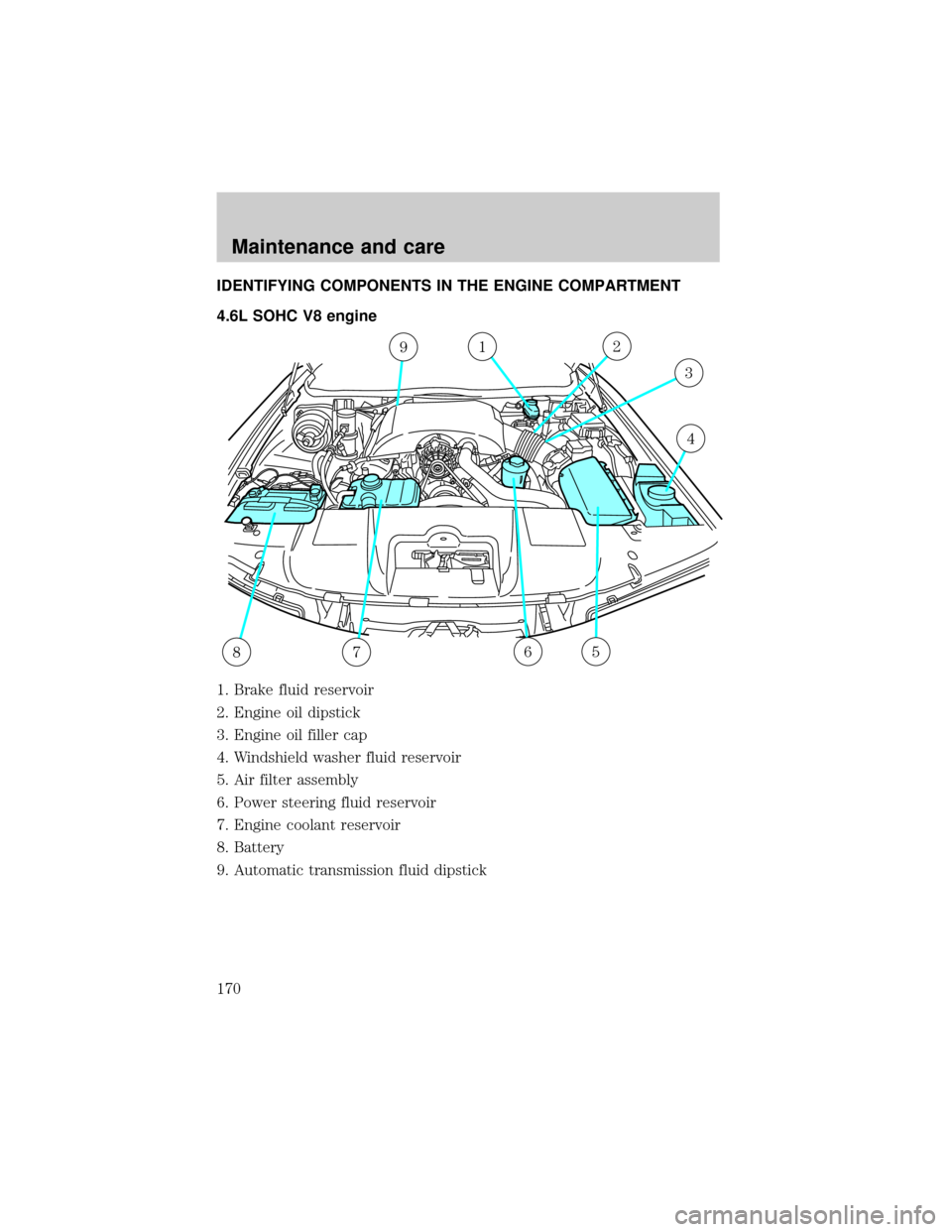 Mercury Grand Marquis 2001  Owners Manuals IDENTIFYING COMPONENTS IN THE ENGINE COMPARTMENT
4.6L SOHC V8 engine
1. Brake fluid reservoir
2. Engine oil dipstick
3. Engine oil filler cap
4. Windshield washer fluid reservoir
5. Air filter assembl
