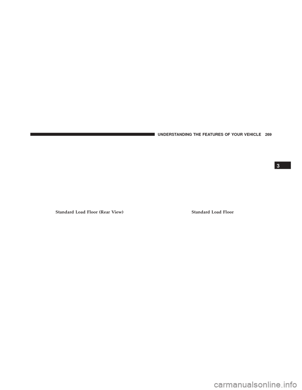Ram Cargo Van 2015  Owners Manual Standard Load Floor (Rear View)Standard Load Floor
3
UNDERSTANDING THE FEATURES OF YOUR VEHICLE 269 