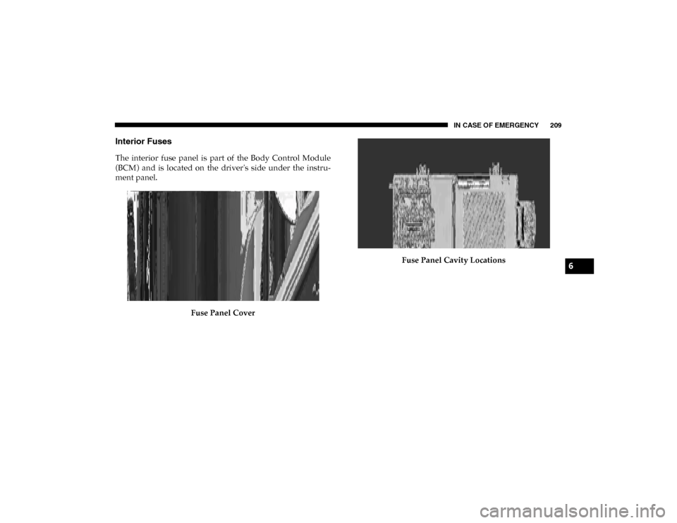 Ram ProMaster City 2020  Owners Manual IN CASE OF EMERGENCY 209
Interior Fuses
The  interior  fuse  panel  is  part  of  the  Body  Control  Module
(BCM)  and  is  located  on  the  drivers  side  under  the  instru-
ment panel.Fuse Panel