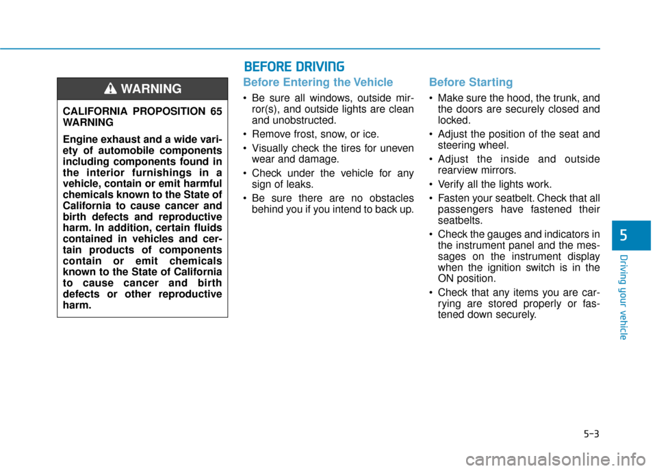 Hyundai Accent 2019  Owners Manual 5-3
Driving your vehicle
5
Before Entering the Vehicle
• Be sure all windows, outside mir-ror(s), and outside lights are clean
and unobstructed.
 Remove frost, snow, or ice.
 Visually check the tire