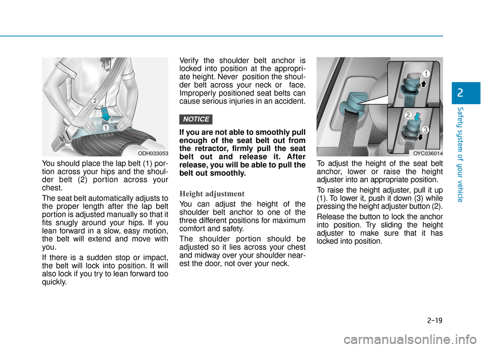 Hyundai Accent 2019  Owners Manual 2-19
Safety system of your vehicle
2
You should place the lap belt (1) por-
tion across your hips and the shoul-
der belt (2) portion across your
chest.
The seat belt automatically adjusts to
the prop