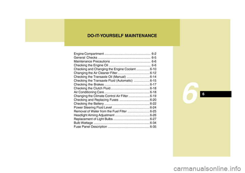 Hyundai Accent 2010  Owners Manual Engine Compartment .................................................... 6-2 
General Checks ........................................................... 6-5
Maintenance Precautions ....................