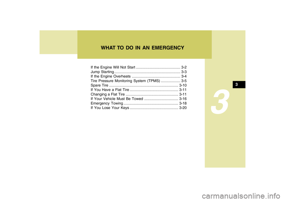 Hyundai Accent 2009  Owners Manual If the Engine Will Not Start ........................................... 3-2
Jump Starting ................................................................ 3-3
If the Engine Overheats ................