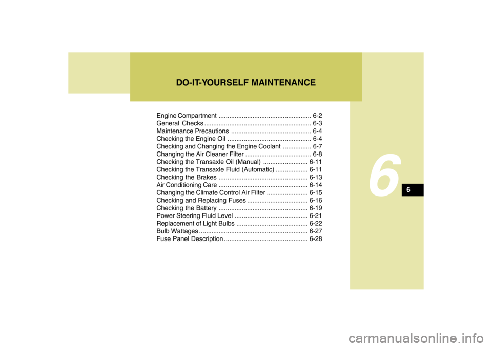 Hyundai Accent 2009  Owners Manual Engine Compartment .................................................... 6-2
General Checks ............................................................ 6-3
Maintenance Precautions ....................