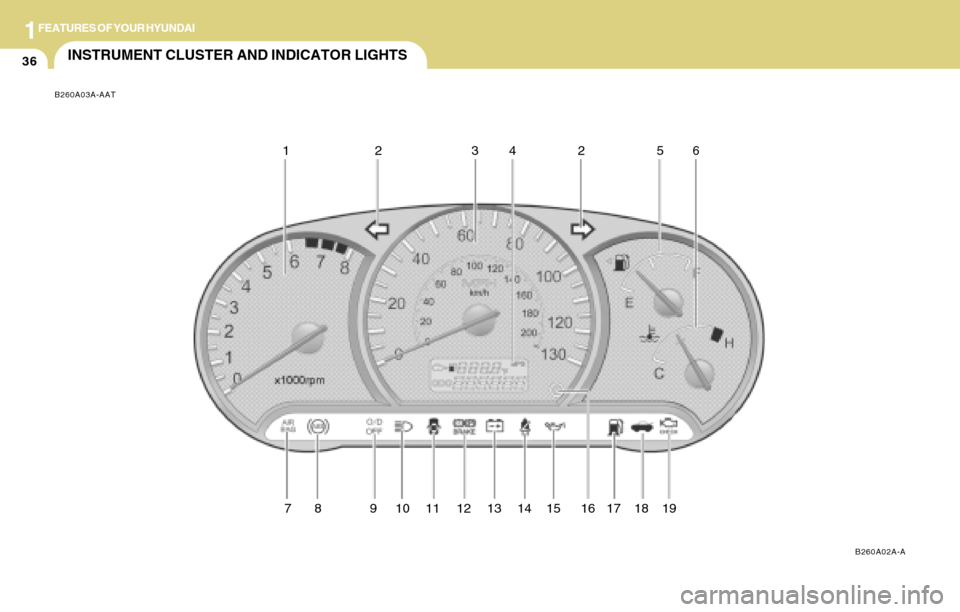 Hyundai Accent 2004 Service Manual 1FEATURES OF YOUR HYUNDAI
36INSTRUMENT CLUSTER AND INDICATOR LIGHTS
B260A02A-A B260A03A-AAT
12 34 56
78 91011121314151617182
19   