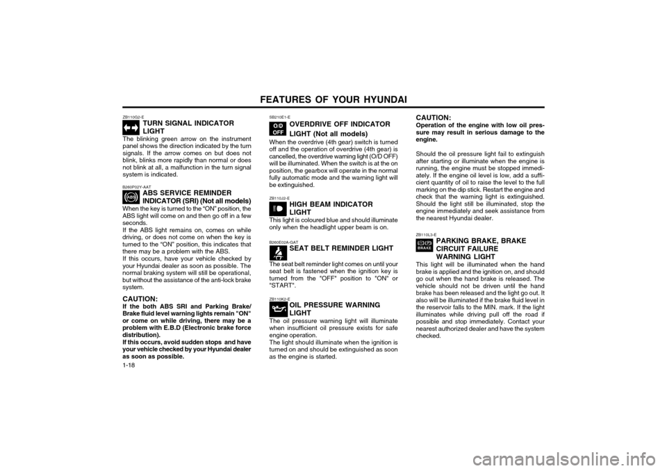Hyundai Atos 2002  Owners Manual FEATURES OF YOUR HYUNDAI
1-18 ZB110G2-E
TURN SIGNAL INDICATOR LIGHT
The blinking green arrow on the instrument panel shows the direction indicated by the turnsignals. If the arrow comes on but does no