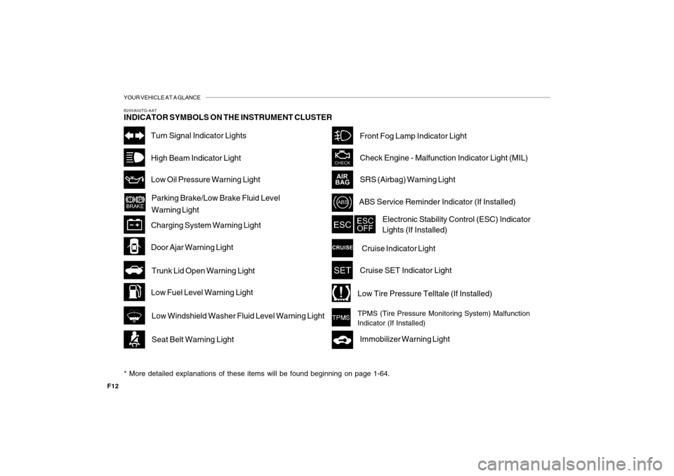 Hyundai Azera 2010  Owners Manual YOUR VEHICLE AT A GLANCE
F12
B255A02TG-AATINDICATOR SYMBOLS ON THE INSTRUMENT CLUSTER* More detailed explanations of these items will be found beginning on page 1-64.
Turn Signal Indicator LightsHigh 