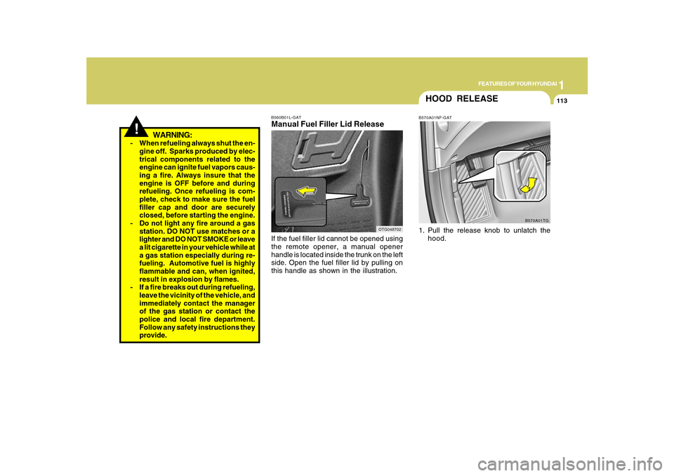 Hyundai Azera 2010  Owners Manual 1
FEATURES OF YOUR HYUNDAI
113
!
WARNING:
- When refueling always shut the en-
gine off.  Sparks produced by elec-
trical components related to the
engine can ignite fuel vapors caus-
ing a fire. Alwa