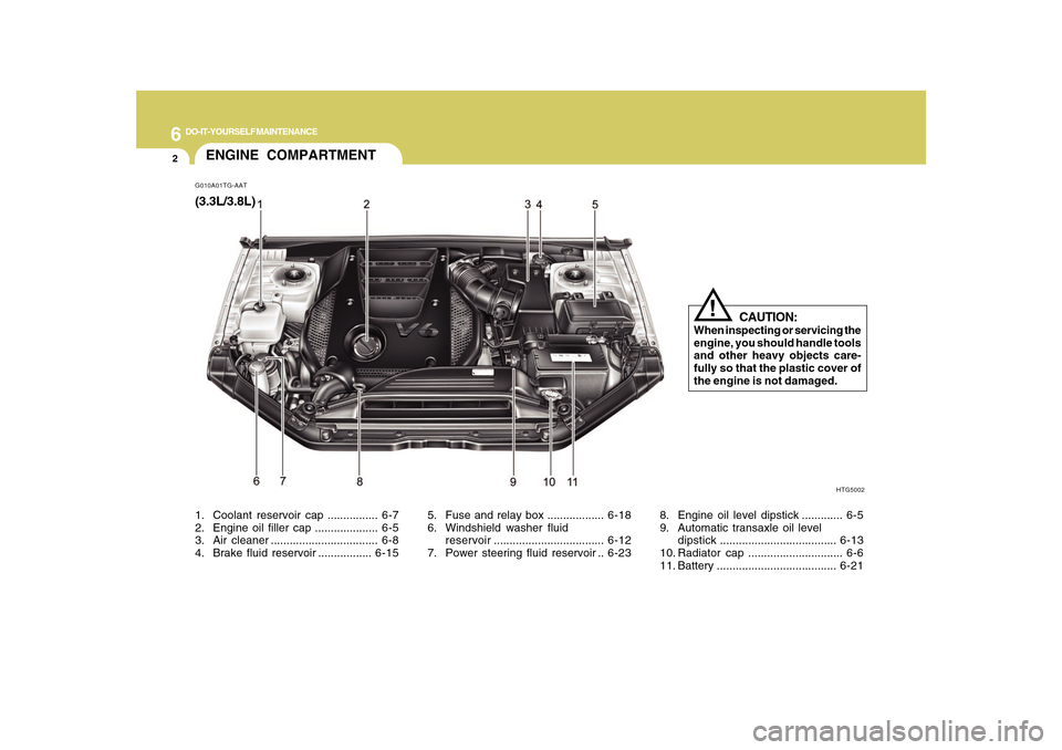 Hyundai Azera 2010  Owners Manual 6
DO-IT-YOURSELF MAINTENANCE
2
G010A01TG-AATENGINE COMPARTMENT
HTG5002
CAUTION:
When inspecting or servicing the
engine, you should handle tools
and other heavy objects care-
fully so that the plastic