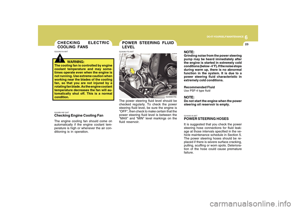 Hyundai Azera 2010  Owners Manual 6
DO-IT-YOURSELF MAINTENANCE
23
POWER STEERING FLUID
LEVELG230A01TG-AAT
G230A01TG
The power steering fluid level should be
checked regularly. To check the power
steering fluid level, be sure the engin