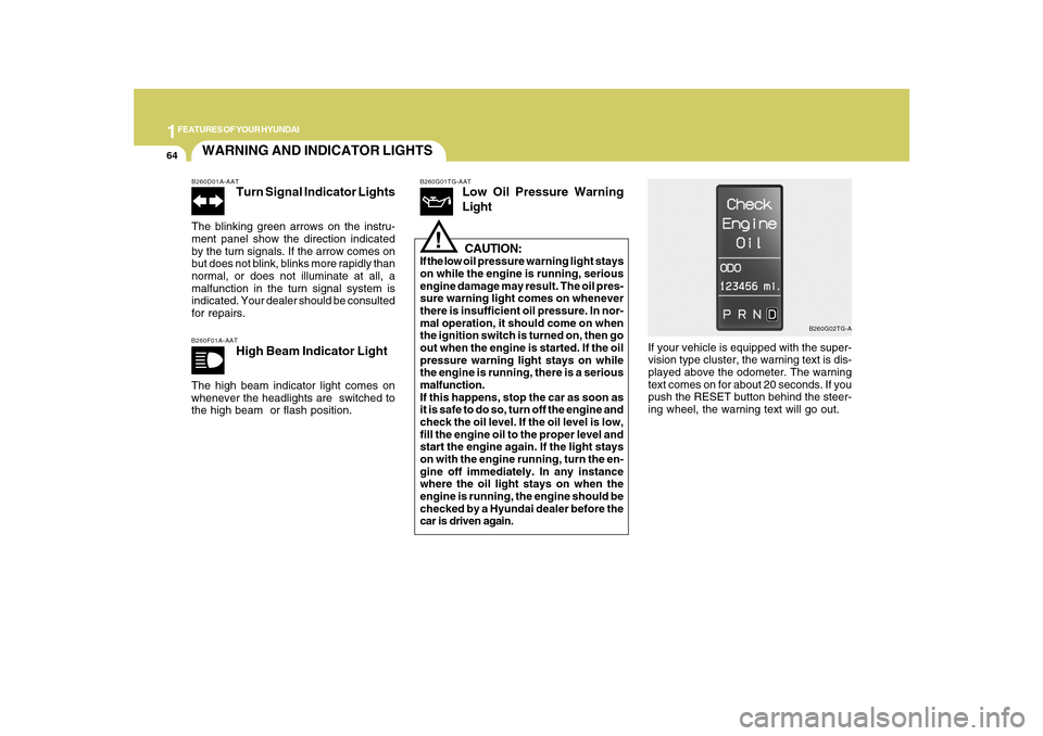 Hyundai Azera 2010  Owners Manual 1FEATURES OF YOUR HYUNDAI64
WARNING AND INDICATOR LIGHTSB260D01A-AAT
Turn Signal Indicator Lights
The blinking green arrows on the instru-
ment panel show the direction indicated
by the turn signals. 