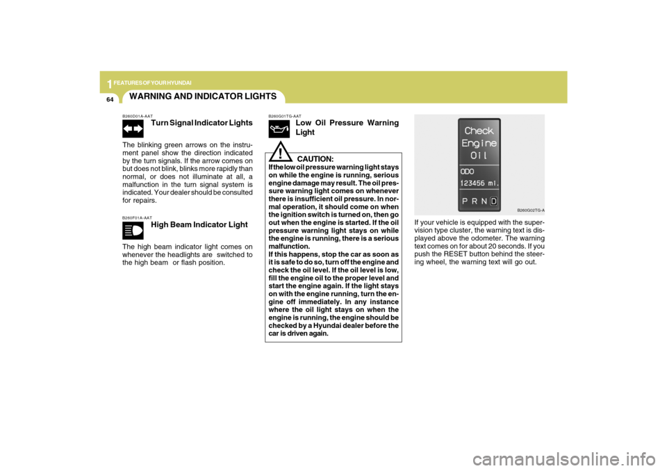 Hyundai Azera 2009 Manual PDF 1FEATURES OF YOUR HYUNDAI64
WARNING AND INDICATOR LIGHTSB260D01A-AAT
Turn Signal Indicator Lights
The blinking green arrows on the instru-
ment panel show the direction indicated
by the turn signals. 
