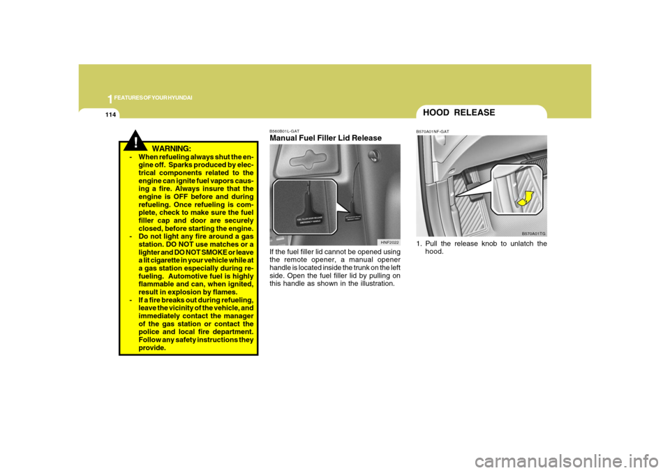 Hyundai Azera 2008 Owners Manual 1FEATURES OF YOUR HYUNDAI
114
!
WARNING:
- When refueling always shut the en-
gine off. Sparks produced by elec-
trical components related to the
engine can ignite fuel vapors caus-
ing a fire. Alway Hyundai Azera 2008 Owners Manual 1FEATURES OF YOUR HYUNDAI
114
!
WARNING:
- When refueling always shut the en-
gine off. Sparks produced by elec-
trical components related to the
engine can ignite fuel vapors caus-
ing a fire. Alway