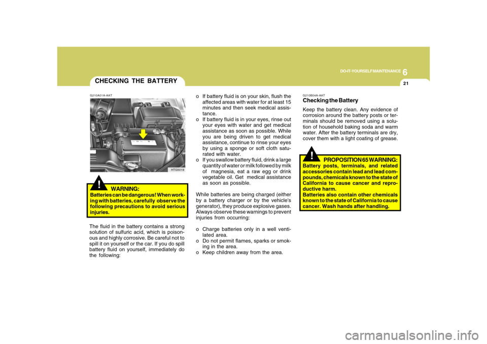 Hyundai Azera 2008 Service Manual 6
DO-IT-YOURSELF MAINTENANCE
21
CHECKING THE BATTERY!
G210A01A-AAT
WARNING:
Batteries can be dangerous! When work-
ing with batteries, carefully  observe the
following precautions to avoid serious
inj