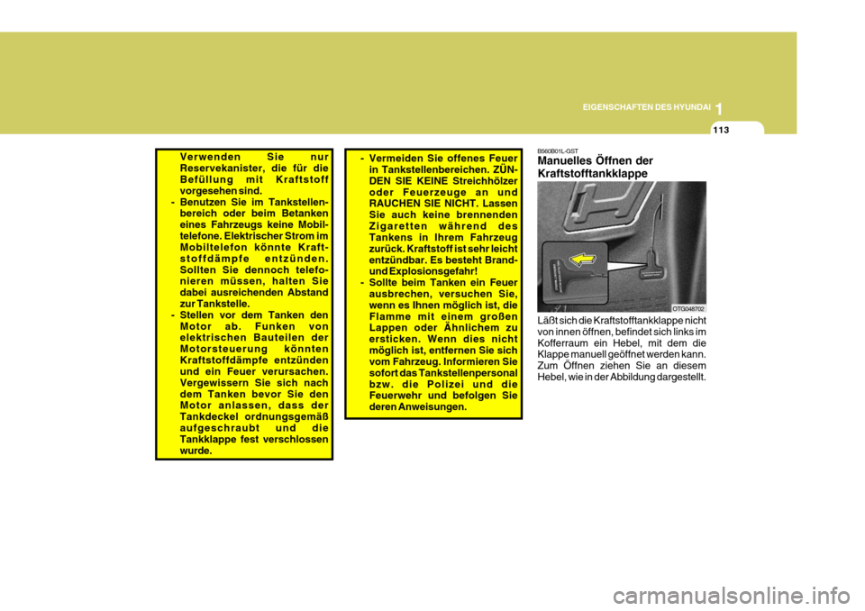 Hyundai Azera 2008  Betriebsanleitung (in German) 1
EIGENSCHAFTEN DES HYUNDAI
113
B560B01L-GST Manuelles Öffnen der Kraftstofftankklappe Läßt sich die Kraftstofftankklappe nicht von innen öffnen, befindet sich links imKofferraum ein Hebel, mit de