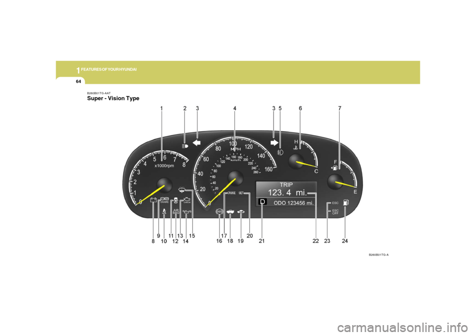 Hyundai Azera 2006 Manual PDF 1FEATURES OF YOUR HYUNDAI64
B260B01TG-AAT
B260B01TG-ASuper - Vision Type 