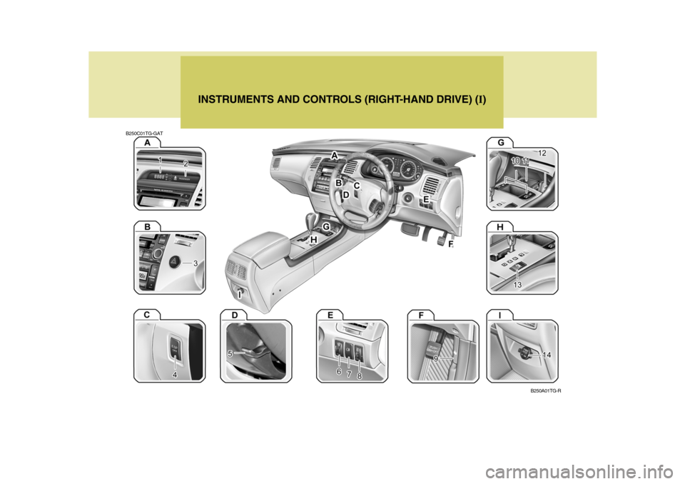 Hyundai Azera 2005 User Guide INSTRUMENTS AND CONTROLS (RIGHT-HAND DRIVE) (I)
B250C01TG-GAT
B250A01TG-R  