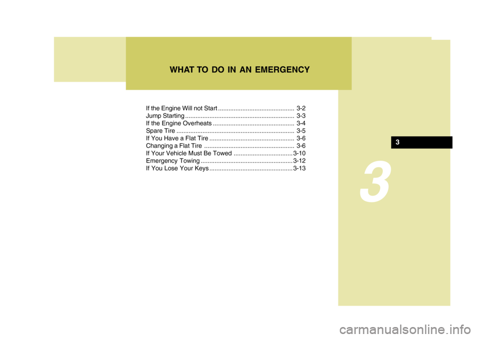Hyundai Azera 2005  Owners Manual 3
If the Engine Will not Start ............................................ 3-2 
Jump Starting ............................................................... 3-3
If the Engine Overheats .............
