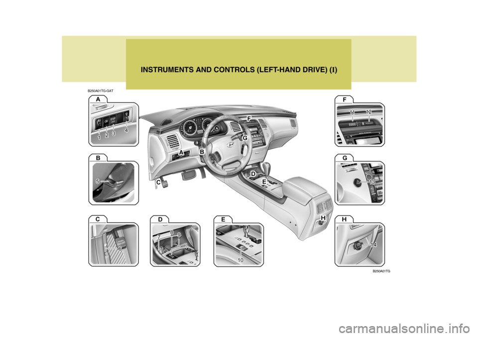 Hyundai Azera 2005  Owners Manual B250A01TG-GATINSTRUMENTS AND CONTROLS (LEFT-HAND DRIVE) (
I)
B250A01TG  