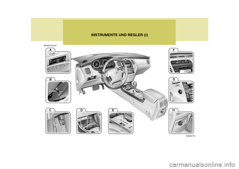 Hyundai Azera 2005  Betriebsanleitung (in German) B250A01TG-GSTINSTRUMENTE UND REGLER (
I)
B250A01TG  