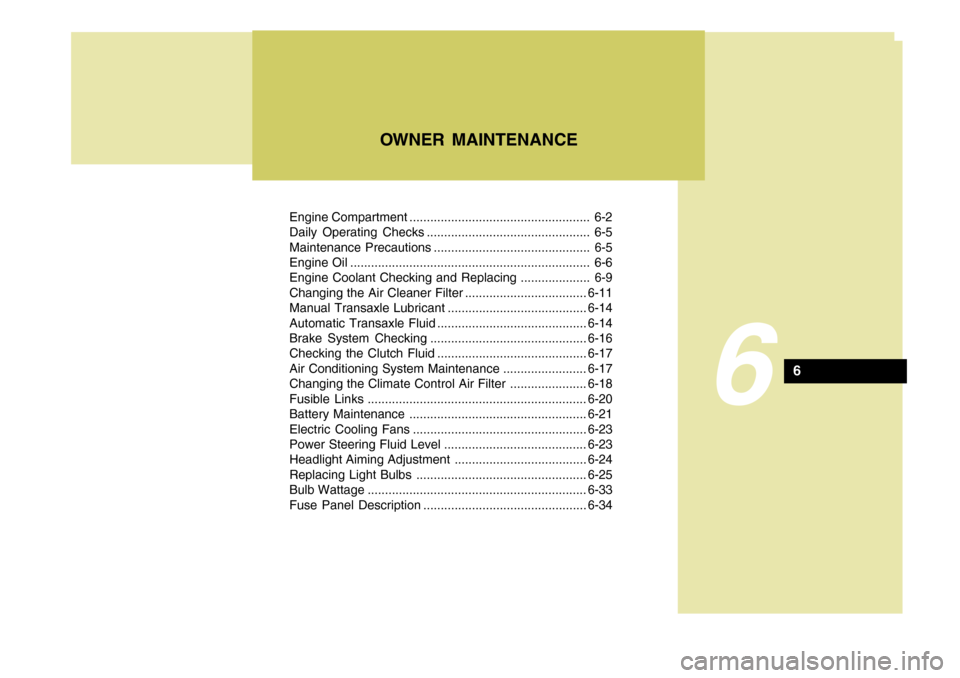 Hyundai Coupe 2008  Owners Manual 6
Engine Compartment .................................................... 6-2 
Daily Operating Checks ............................................... 6-5
Maintenance Precautions ......................