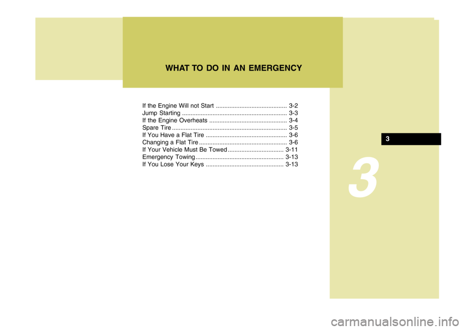 Hyundai Coupe 2005  Owners Manual 3
If the Engine Will not Start .......................................... 3-2 
Jump Starting .............................................................. 3-3
If the Engine Overheats ................
