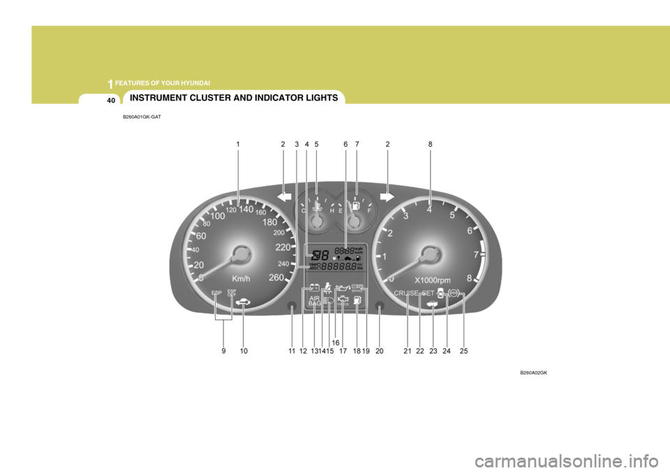 Hyundai Coupe 2005  Owners Manual 1FEATURES OF YOUR HYUNDAI
40INSTRUMENT CLUSTER AND INDICATOR LIGHTS
B260A01GK-GAT
B260A02GK  