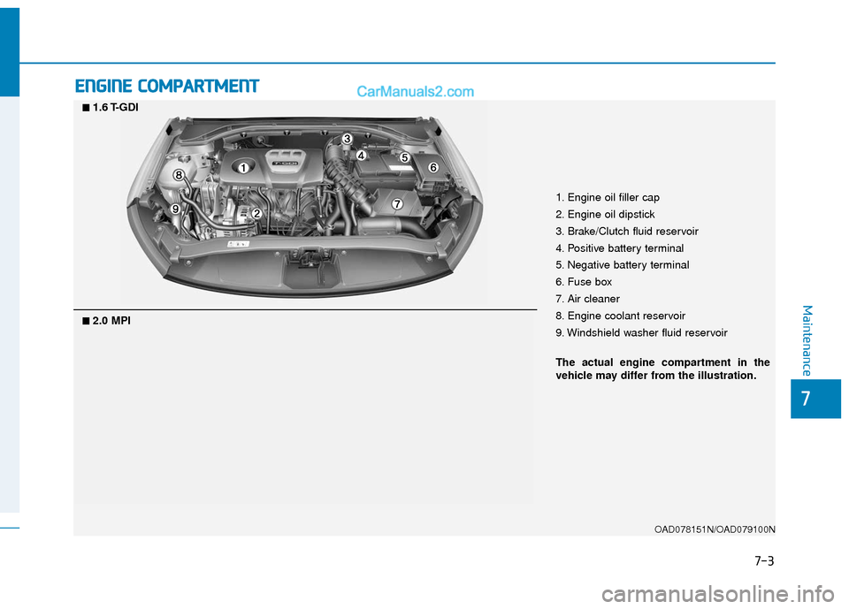 Hyundai Elantra 2020  Owners Manual 7-3
7
Maintenance
E
EN
N G
GI
IN
N E
E 
 C
C O
O M
M P
PA
A R
RT
TM
M E
EN
N T
T 
 
OAD078151N/OAD079100N
■
■2.0 MPI
■
■1.6 T-GDI
1. Engine oil filler cap
2. Engine oil dipstick
3. Brake/Clutc