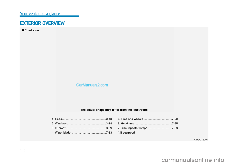 Hyundai Elantra 2019  Owners Manual 1-2
E
EX
X T
TE
ER
R I
IO
O R
R 
 O
O V
VE
ER
R V
V I
IE
E W
W
Your vehicle at a glance
1. Hood ......................................................3-43
2. Windows ..................................