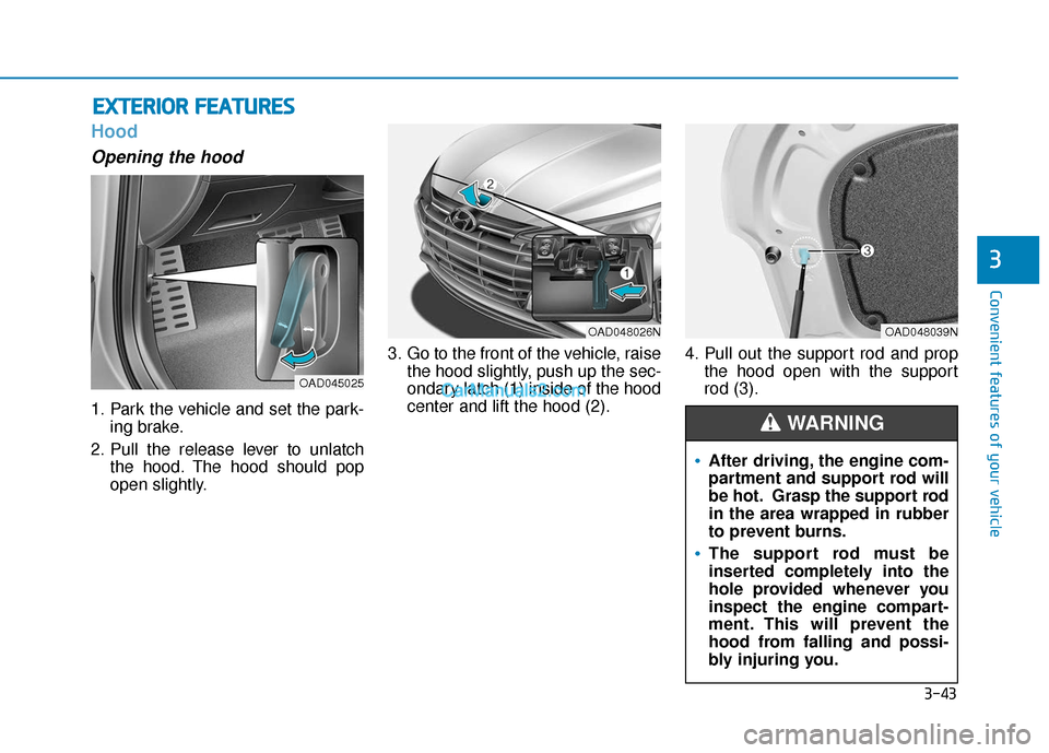 Hyundai Elantra 2019  Owners Manual 3-43
Convenient features of your vehicle
3
E
EX
X T
TE
ER
R I
IO
O R
R 
 F
F E
E A
A T
TU
U R
RE
ES
S
Hood
Opening the hood 
1. Park the vehicle and set the park-
ing brake.
2. Pull the release lever 