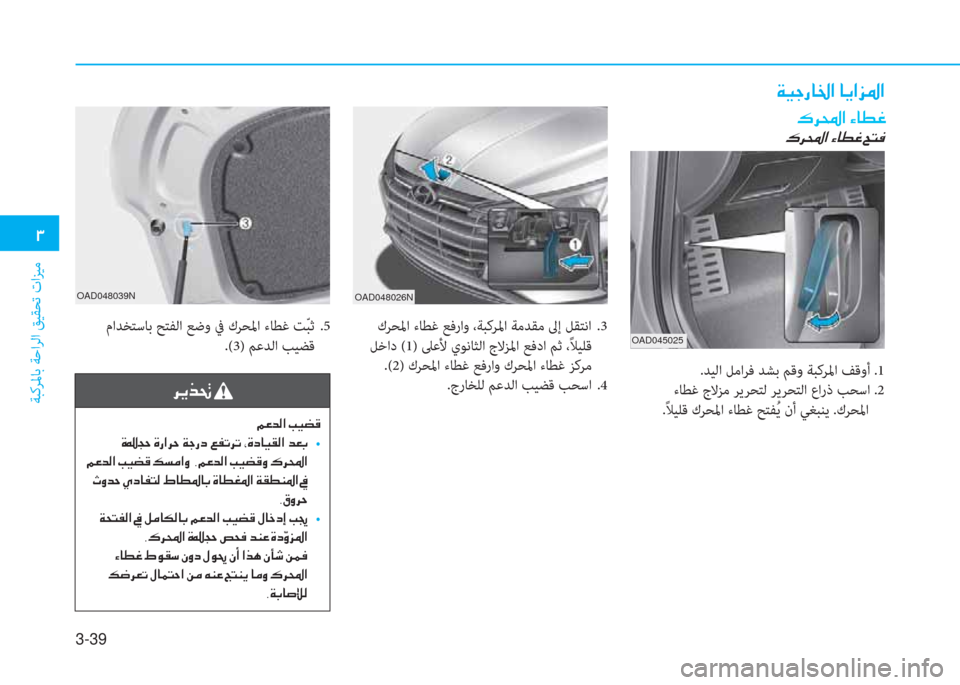 Hyundai Elantra 2019  دليل المالك 3-39
 1
ﺔﺒﻛﺮﳌﺎﺑ ﺔﺣاﺮﻟا ﻖﻴﻘﺤﺗ تاﺰﻴﻣ
OAD045025 OAD048026N OAD048039N
 · h  ?  Ò @ î ¨
 · h  ?  Ò @ î ¨  Z L ¬
.ﺪﻴﻟا ﻞﻣاﺮﻓ ﺪﺸ�